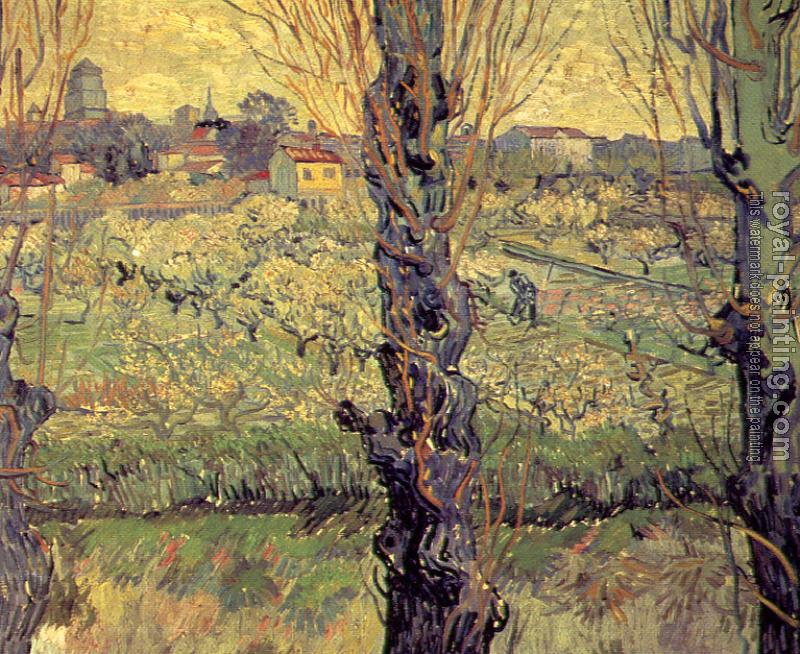 Vincent Van Gogh : Orchard in Bloom with Poplars in the Foreground